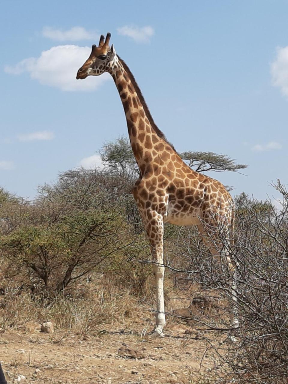Sandai Resort Lake Baringo Ol Kokwe Εξωτερικό φωτογραφία